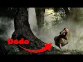 Download Lagu Reviving the Dodo: A Journey from Extinction to Existence