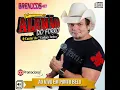 Download Lagu ALEMÃO DO FORRÓ   Seleção de Forró 2015