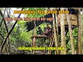 Download Lagu MEMBANGUN RUMAH POHON || CUACA EXTRIM HUJAN DERAS DAN ANGIN