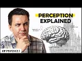 Perception at Disney World AP Psychology Review Unit 2 Topic 1