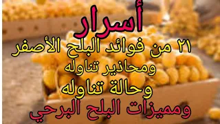 فوائد البلح الاصفر واضرارة ومميزات البلح البرحي 