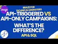 Braze API API-Triggered vs API-Only Campaigns What s The Difference