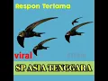 Download Lagu SP ASIA TENGGARA