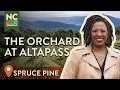 The Orchard at Altapass - Spruce Pine NC North Carolina Weekend