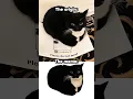 Maxwell the Cat origin