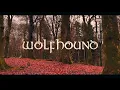 Download Lagu Wolfhound - Creggan White Hare