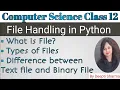 File Handling in Python Text File Binary File Difference between Text File Binary File CS