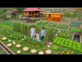 Download Lagu Off-Grid Life: Selling Clean Duck Eggs \u0026 Growing a Green, Self-Sufficient Farm