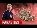 The Best Herbs for Parasites