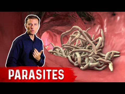 Download MP3 The Best Herbs for Parasites