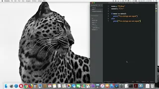 Compare Strings with if else statements python
