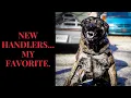 Police K9 Training Patrol dog school So you want to be a handler