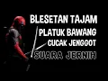 Download Lagu SUARA ASLI JERNIH - PELATUK BAWANG \u0026 CUCAK JENGGOT