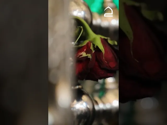 ⁣حقيبة المؤمن 