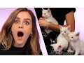 Emma Watson Plays With Kittens While Answering Fan Questions