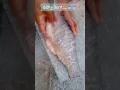 Download Lagu fish cleaning 🐟🤩#sascreb #food #viralvideo #shot