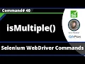 isMultiple Command - Selenium WebDriver