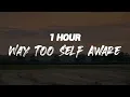 Ian Asher - Way Too Self Aware [ 1 HOUR ]
