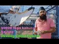 Download Lagu Original 35 walay And Batera kabutar//Ustad Rinku Singh//Jammu 9622410767