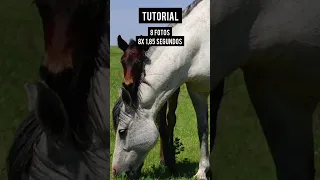 TUTORIAL REELS PARA INSTAGRAM Shorts  TUTORIAL REELS PARA INSTAGRAM Shorts