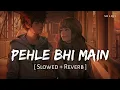 Lagu Pehle Bhi Main (Slowed + Reverb) | Vishal Mishra | Animal | SR Lofi