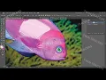Vector Art Fish By Twin Tracers