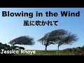 Download Lagu Blowing in the Wind - Lyric - 風に吹かれて  - Japanese translation - Jessica Rhaye and Ramshackle Parade