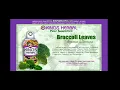 Download Lagu King's Herbal Food Supplement