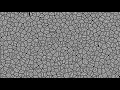 Voronoi Diagram Stripe Edge openframeworks