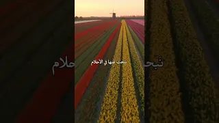 امنية نطويها   تعالج الاكتئاب   دندنها