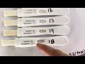 Comparing early result pregnancy tests First Response Clear Blue Wondfo Premom Mommed