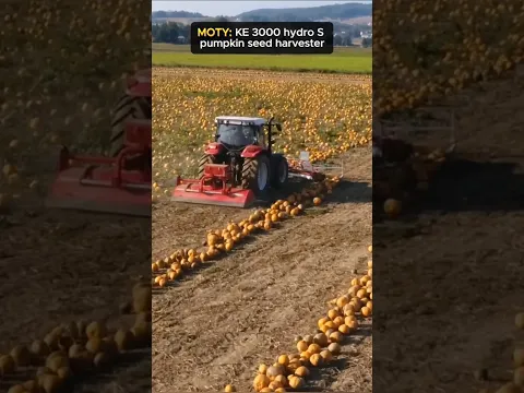 Pumpkin seed harvester ##❗️❗️