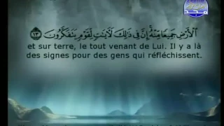 سوره الجاثيه للشيخ السديس والشريم 