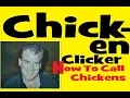 Chicken Clicker How To Call Chickens