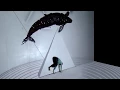 Download Lagu Imagine Dragons - Polaroid (Official Music Video) FadliTV