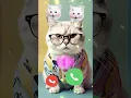 Download Lagu Ringtone Sound 😱😱 #ringtone #nadaderingtelepon #smartphone