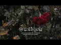 أجمل حالات واتس اب قرآن كريم بصوت جميل جدا❤️😍 Quran Status