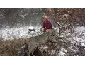 Bobcat 11-12-14