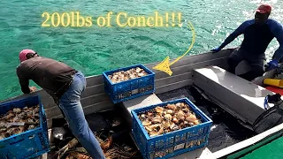How Locals Clean Queen Conch…FAST! (Day 10/100 Day Water World Challenge)