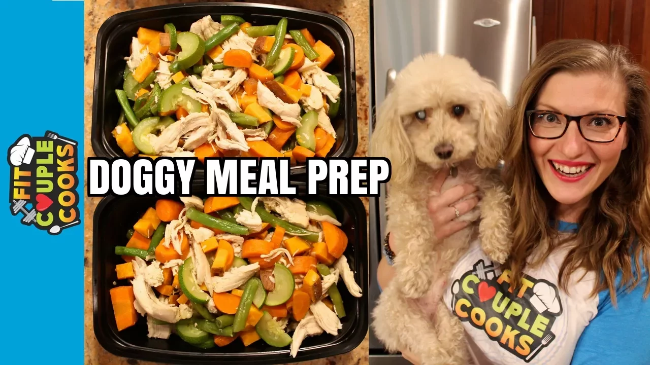 How to Meal Prep for Dogs - It