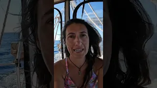 47 Hours Across the Mona Passage… With Kids 😳