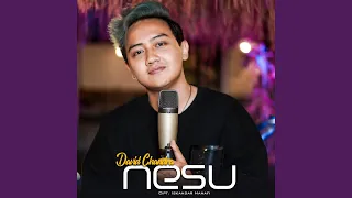nesu