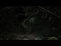 Download Lagu 🔴 UJI NYALI DI LOKASI ANAK KECIL HILANG ‼️