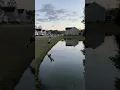 These Gators can t guard me