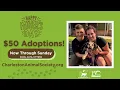 PLEASE ADOPT AT CHARLESTON ANIMAL SOCIETY WE RE PACKED