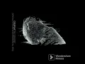 Download Lagu Coldplay - The Scientist (Special Extended Instrumental Mix)