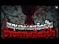 Download Lagu เหตุผลที่ผมเลิกเป็นช่างภาพสัตว์ป่า : Creepypasta / GBS