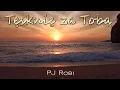 Download Lagu Tęsknię za Tobą - PJ Robi - Ballada Reggae Nowość Disco Polo 2025