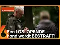 Download Lagu Niemand komt er met een WAARSCHUWING vanaf! | Overtreders