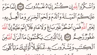 الصفحة رقم    الشيخ مشاري العفاسي دندنها